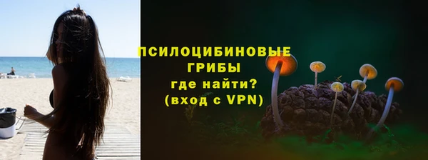 ALPHA PVP Армянск